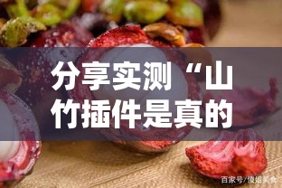 分享实测“山竹插件是真的吗	”附详细步骤