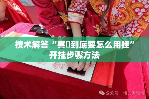 技术解答“喜園到底要怎么用挂”开挂步骤方法
