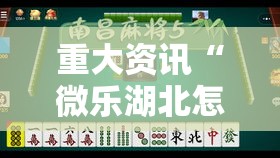 重大资讯“微乐湖北怎么装挂	”开挂神器