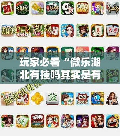 玩家必看“微乐湖北有挂吗其实是有挂”2026用挂