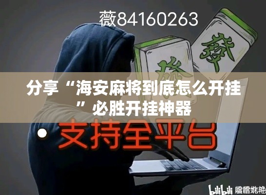 分享“海安麻将到底怎么开挂	”必胜开挂神器