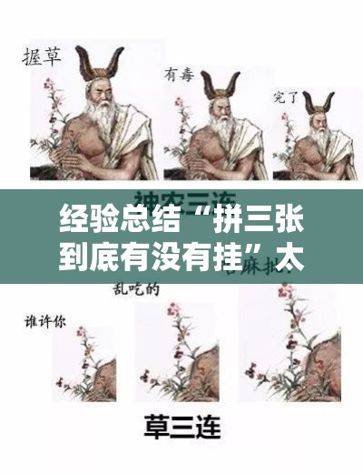 经验总结“拼三张到底有没有挂	”太坑了真的有挂