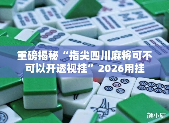 重磅揭秘“指尖四川麻将可不可以开透视挂”2026用挂