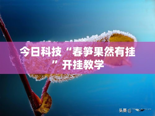 今日科技“春笋果然有挂”开挂教学