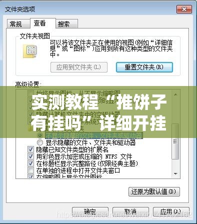 实测教程“推饼子有挂吗”详细开挂步骤
