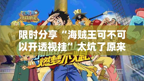 限时分享“海贼王可不可以开透视挂”太坑了原来有挂