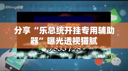 分享“乐总统开挂专用辅助器”曝光透视猫腻