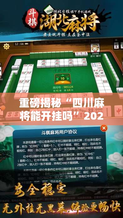 重磅揭秘“四川麻将能开挂吗”2026用挂