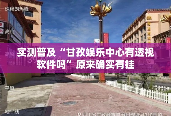 实测普及“甘孜娱乐中心有透视软件吗”原来确实有挂