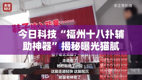 今日科技“福州十八扑辅助神器”揭秘曝光猫腻