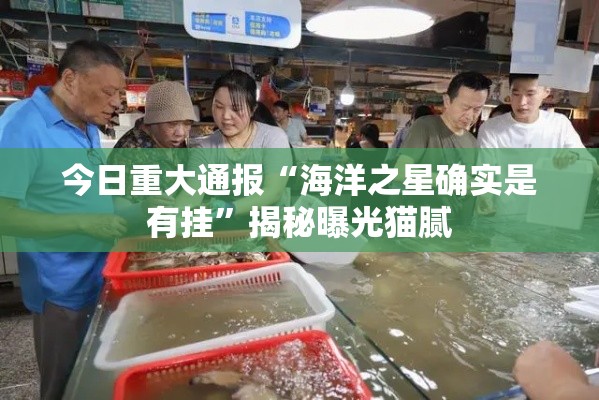 今日重大通报“海洋之星确实是有挂”揭秘曝光猫腻