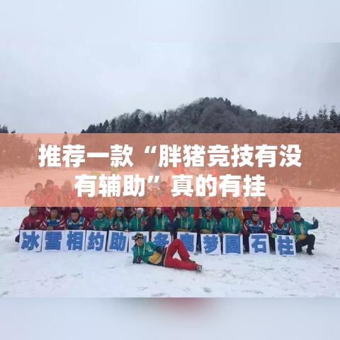 推荐一款“胖猪竞技有没有辅助”真的有挂