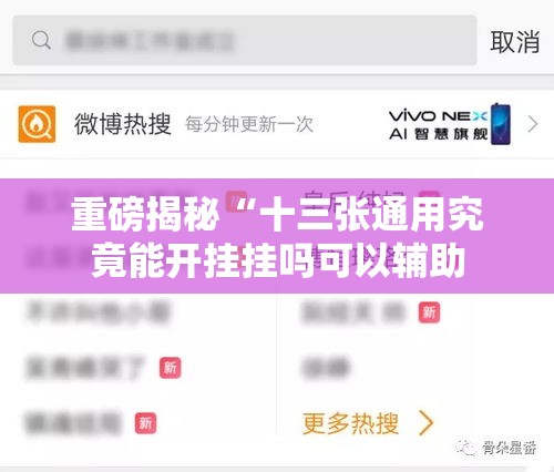 重磅揭秘“十三张通用究竟能开挂挂吗可以辅助