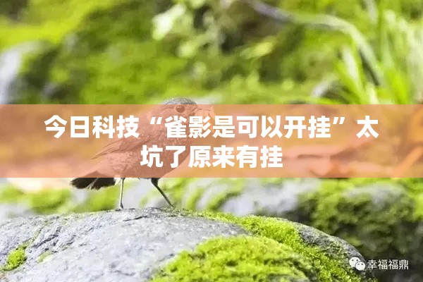 今日科技“雀影是可以开挂”太坑了原来有挂
