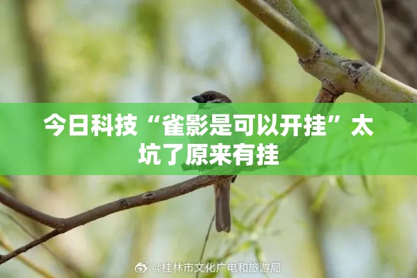今日科技“雀影是可以开挂	”太坑了原来有挂