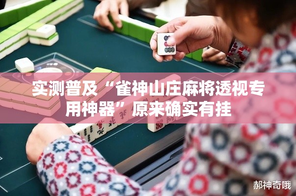 实测普及“雀神山庄麻将透视专用神器”原来确实有挂