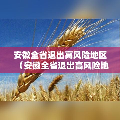 安徽全省退出高风险地区(安徽全省退出高风险地区的条件) 安徽全省退出高风险地区(安徽全省退出高风险地区的条件)