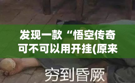 发现一款“悟空传奇可不可以用开挂(原来确实是有挂)