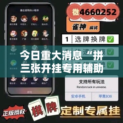 今日重大消息“拼三张开挂专用辅助器”可以开挂教程