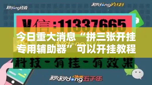 今日重大消息“拼三张开挂专用辅助器”可以开挂教程