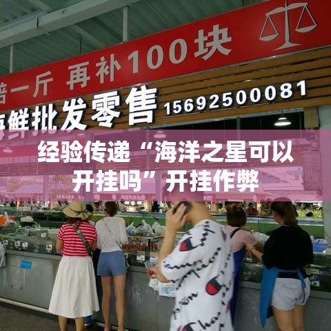 经验传递“海洋之星可以开挂吗	”开挂作弊