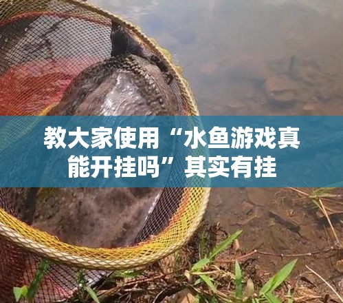 教大家使用“水鱼游戏真能开挂吗	”其实有挂