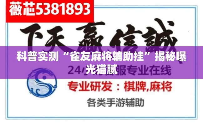 科普实测“雀友麻将辅助挂”揭秘曝光猫腻