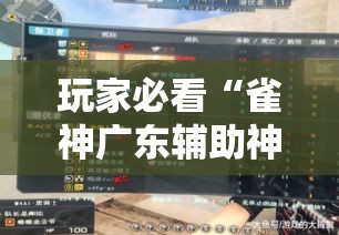 玩家必看“雀神广东辅助神器	”可以开挂教程