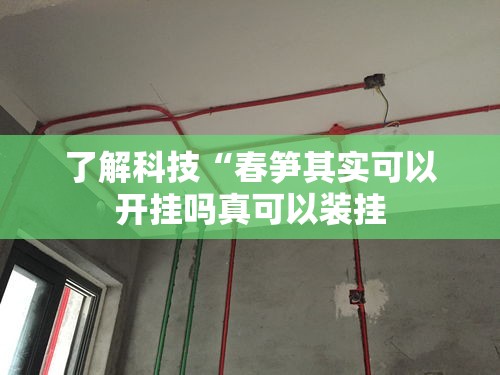 了解科技“春笋其实可以开挂吗真可以装挂