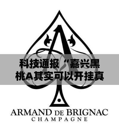 科技通报“嘉兴黑桃A其实可以开挂真可以装挂
