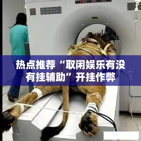 热点推荐“取闲娱乐有没有挂辅助	”开挂作弊