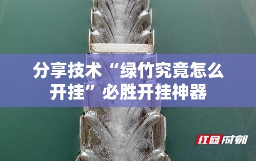 分享技术“绿竹究竟怎么开挂”必胜开挂神器