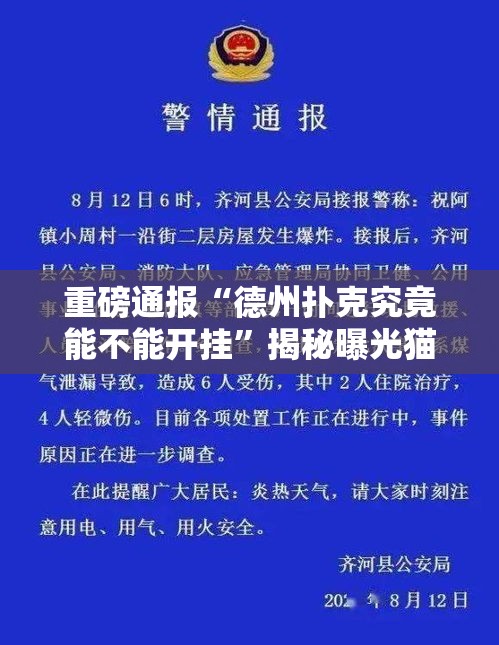 重磅通报“德州扑克究竟能不能开挂”揭秘曝光猫腻