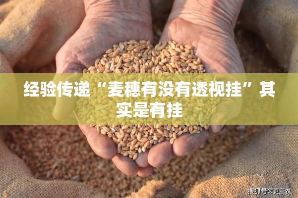 经验传递“麦穗有没有透视挂	”其实是有挂