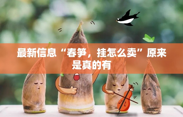 最新信息“春笋，挂怎么卖”原来是真的有
