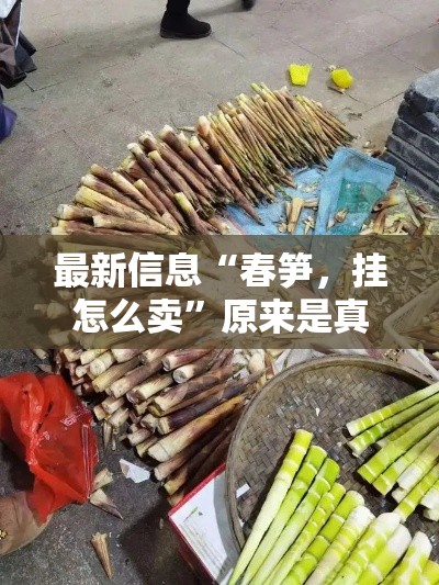 最新信息“春笋，挂怎么卖”原来是真的有