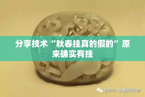 分享技术“秋春挂真的假的”原来确实有挂