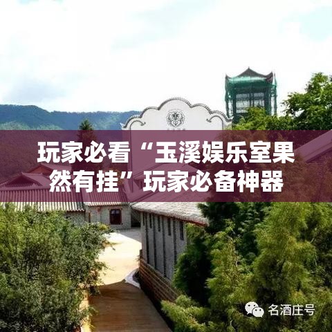 玩家必看“玉溪娱乐室果然有挂”玩家必备神器