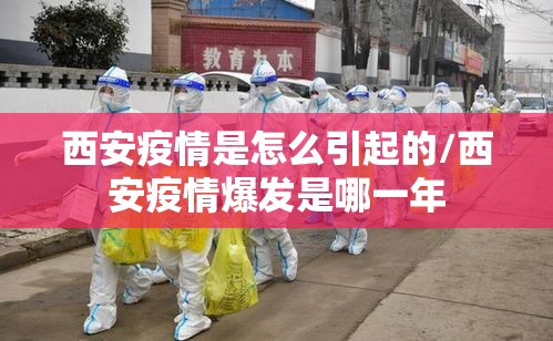 西安疫情是怎么引起的/西安疫情爆发是哪一年 西安疫情是怎么引起的/西安疫情爆发是哪一年