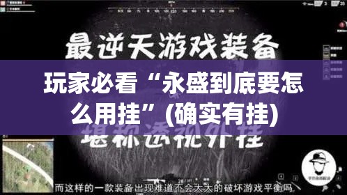 玩家必看“永盛到底要怎么用挂	”(确实有挂)