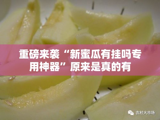 重磅来袭“新蜜瓜有挂吗专用神器	”原来是真的有