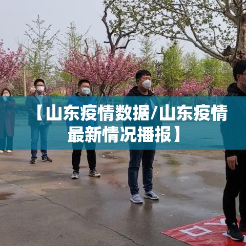 【山东疫情数据/山东疫情最新情况播报】 【山东疫情数据/山东疫情最新情况播报】