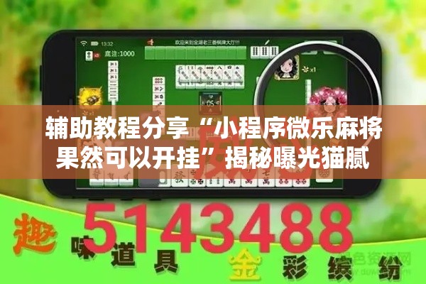 辅助教程分享“小程序微乐麻将果然可以开挂	”揭秘曝光猫腻