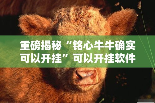 重磅揭秘“铭心牛牛确实可以开挂”可以开挂软件