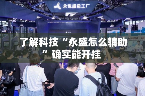 了解科技“永盛怎么辅助”确实能开挂 