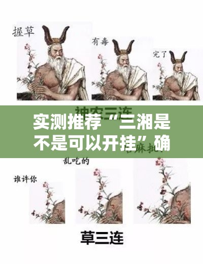 实测推荐“三湘是不是可以开挂”确实可以开挂