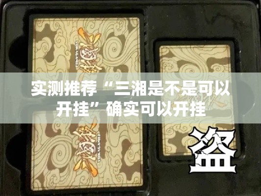实测推荐“三湘是不是可以开挂”确实可以开挂