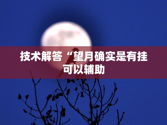 技术解答“望月确实是有挂可以辅助