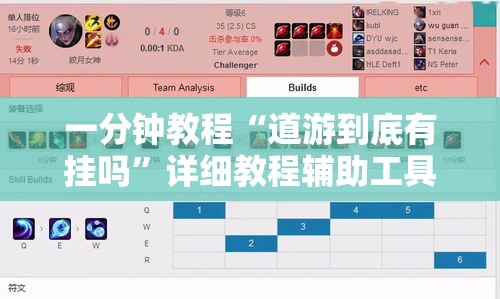 一分钟教程“道游到底有挂吗”详细教程辅助工具