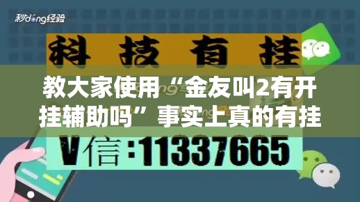 教大家使用“金友叫2有开挂辅助吗”事实上真的有挂
